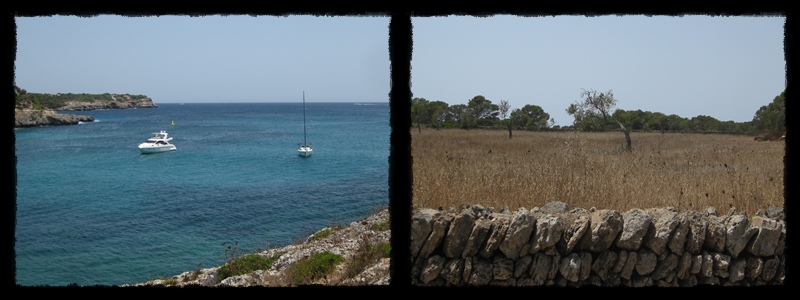 F015.jpg